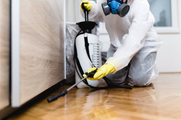 Best Flea Control Services  in Kalama, WA