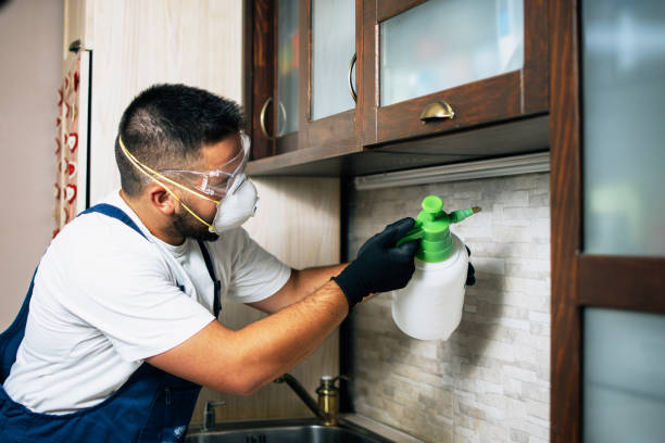 Best Residential Pest Control  in Kalama, WA