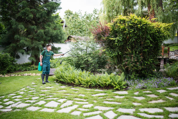 Best Pest Removal Services  in Kalama, WA