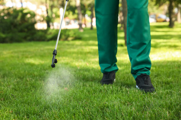Best Mosquito Control Services  in Kalama, WA