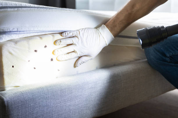 Best Pest Prevention Services  in Kalama, WA
