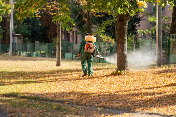 Wasp Removal Services in Kalama, WA