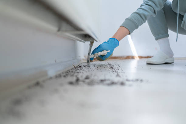 Best Best Pest Control Companies  in Kalama, WA