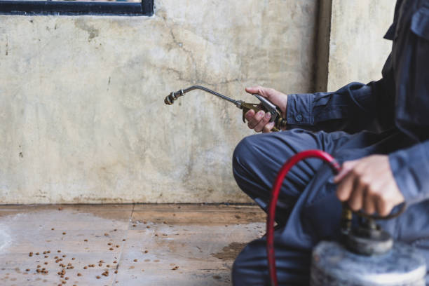 Best Pest Removal Services  in Kalama, WA